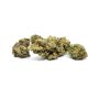 Sativa Poland Susz CBD Super Silver Haze - 4